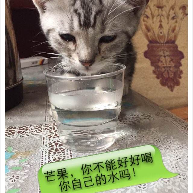 农行银行存款证明怎么办